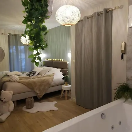La Parenthese - Votre Cocon Au Centre D'oyonnax Apartment
